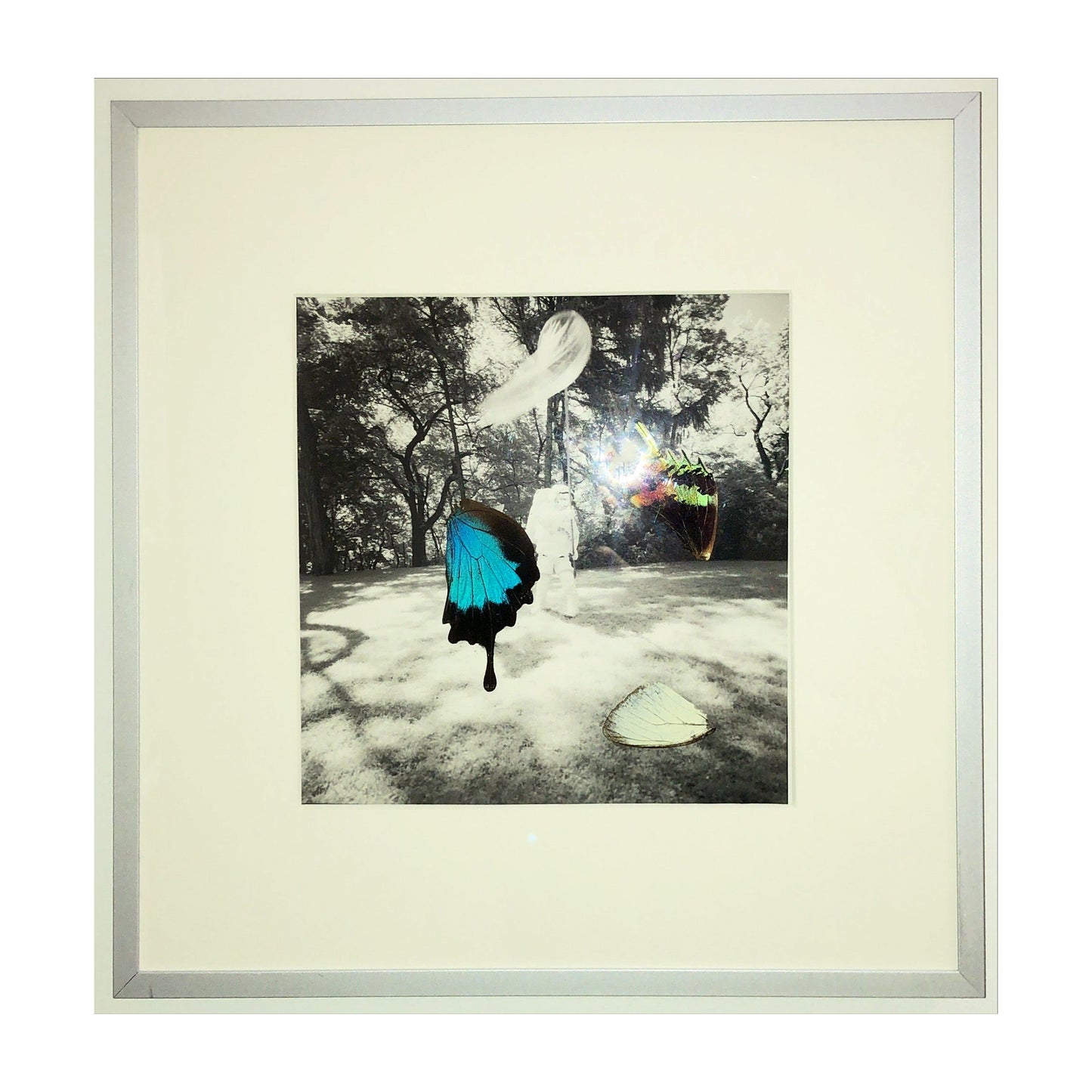 Strawberry Fitzo Central Park NYC